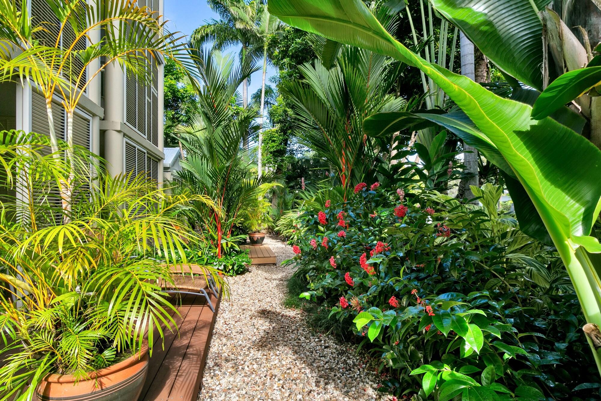 Port Douglas Apartments - Adults Only Oasis Buitenkant foto